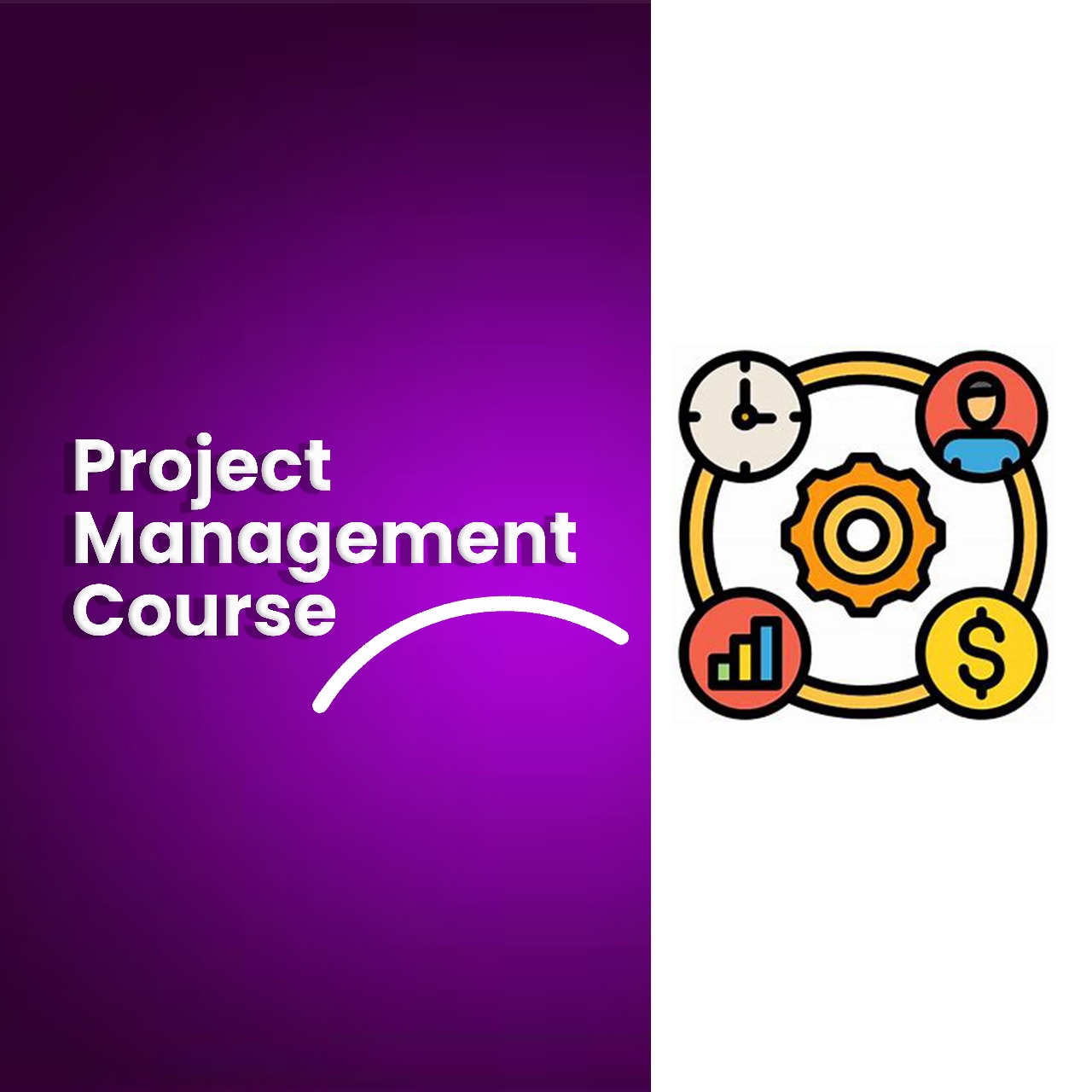 Project Management Professional Certificate Course Gonet Academy